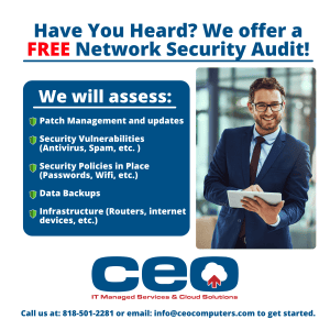 Free Network Security Audit1